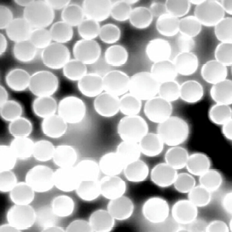 Kanomax Fluostar Fluorescent Particles Kanomax Fluostar Fluorescent Particles