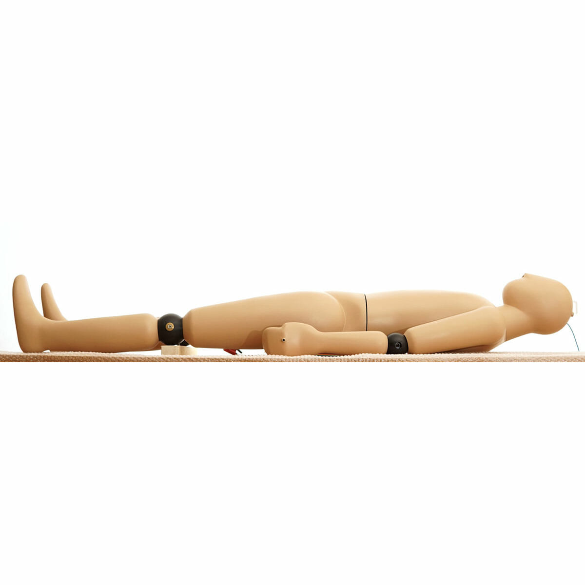 Kanomax and PT Teknik Thermal Manikin 2