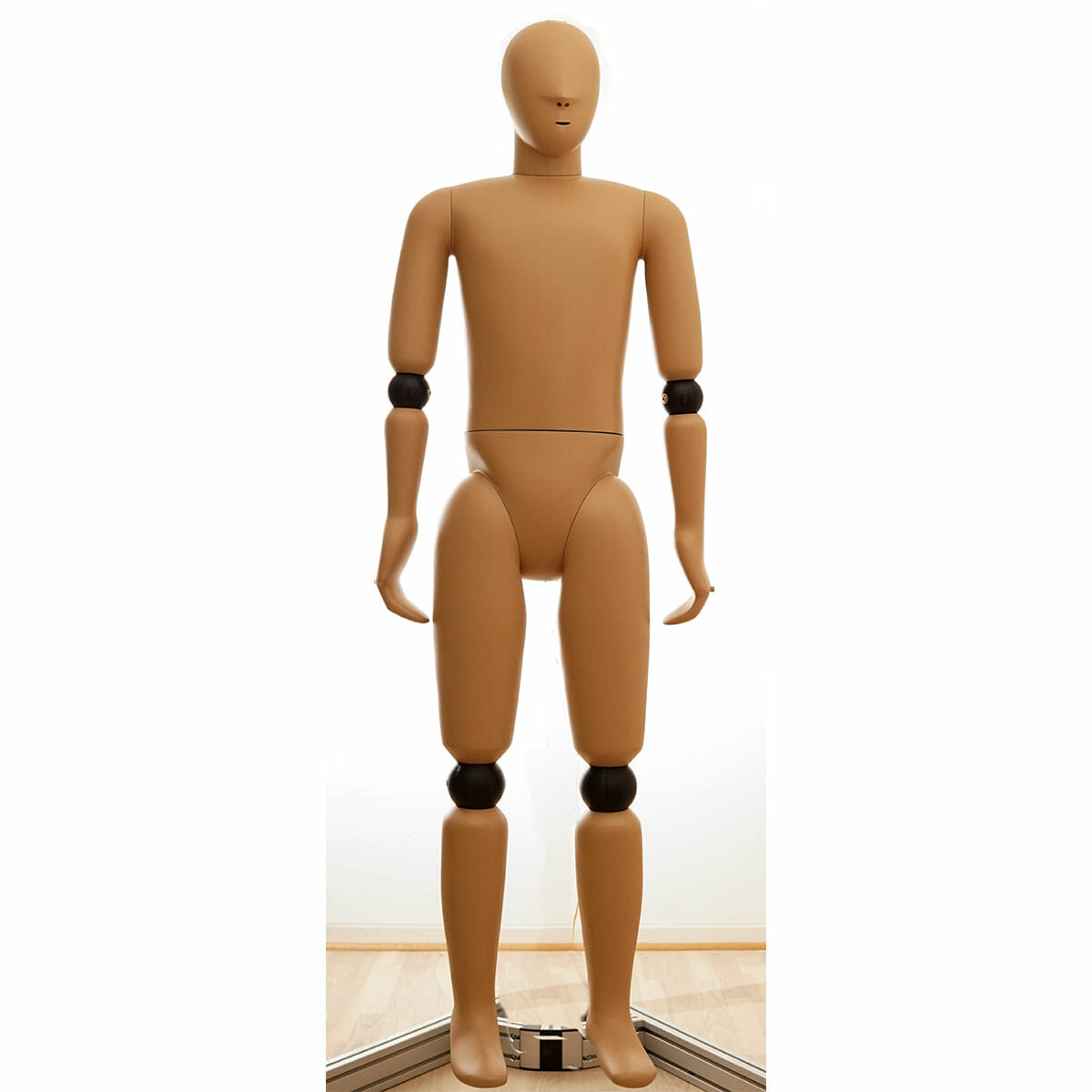 Kanomax and PT Teknik Thermal Manikin 1